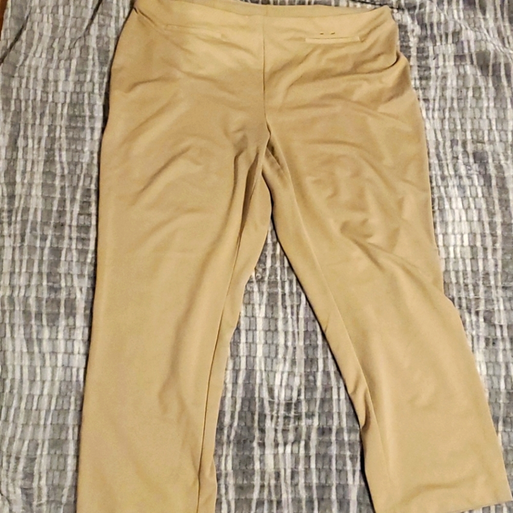 Lane Bryant Tan Straight Leg Pants
